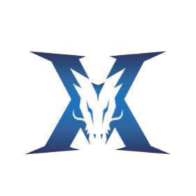 这支球队的 这支球队的