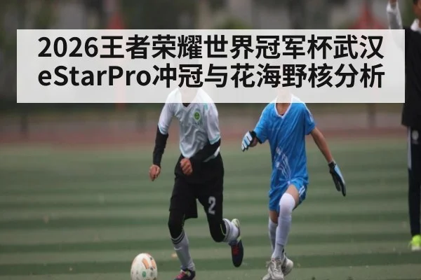 2026王者荣耀世界冠军杯武汉eStarPro冲冠与花海野核分析